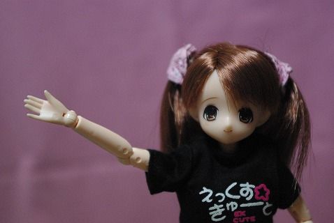 SDキャリング23
