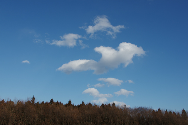 94d75793.jpg