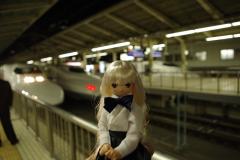 98a06a53.jpg