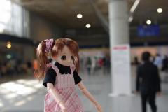 a53a8e61.jpg