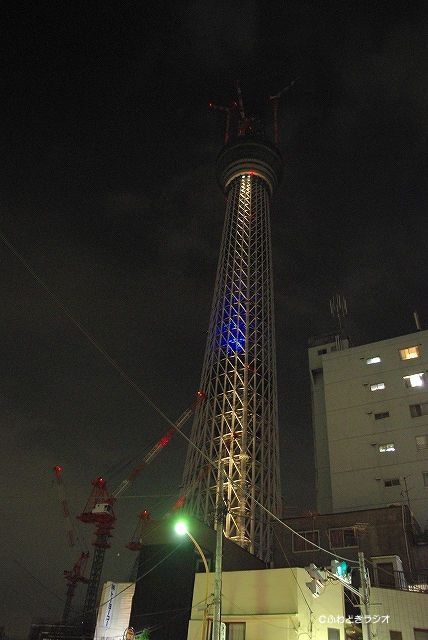 スカイライト16