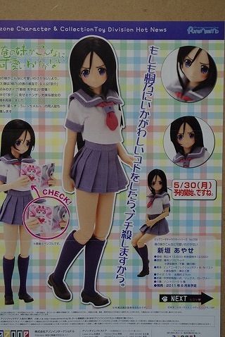 アゾンDM20116月16