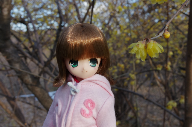 b3dac83f.jpg