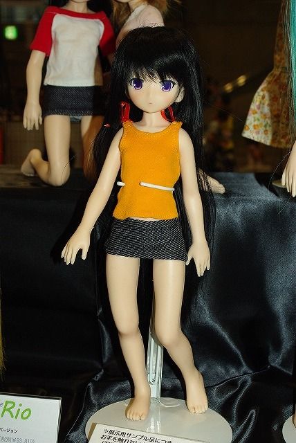 ワンフェス2011夏その他39