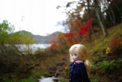 c7d667d9.jpg