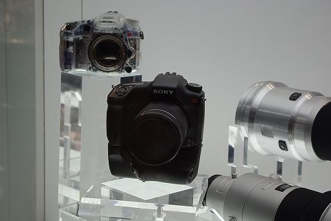 CPプラス10