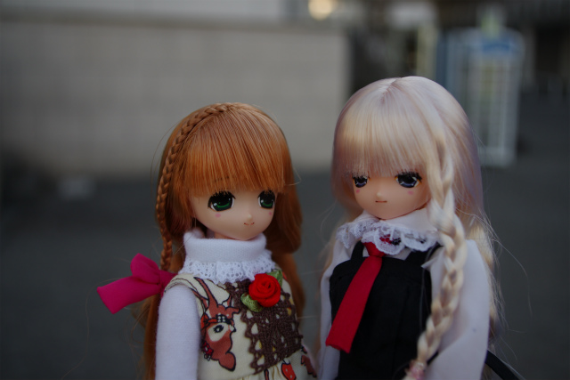 c8b76884.jpg