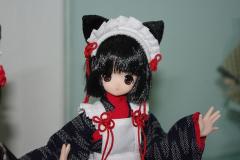 c961db8b.jpg