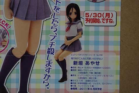 アゾンDM20116月18