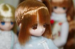 cfc1b440.jpg