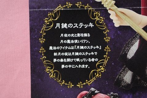 アゾンDM20117月最終号05