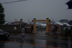 d426931c.jpg