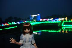 d5503f80.jpg