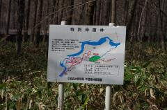 d6a017c9.jpg