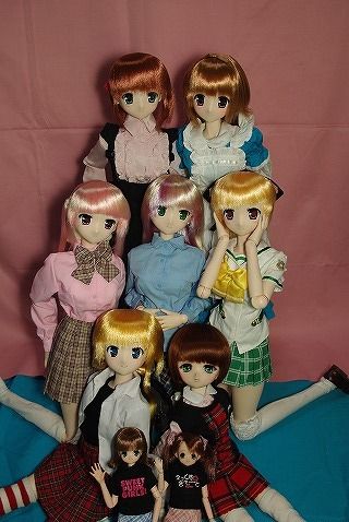 SDキャリング51
