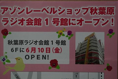 アゾンDM20116月33