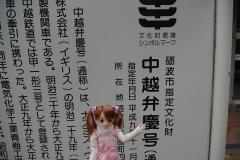 eeb025d2.jpg