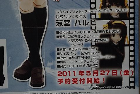 アゾンDM20116月22