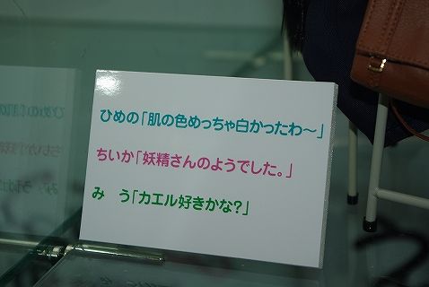 ドールショウ30冬13