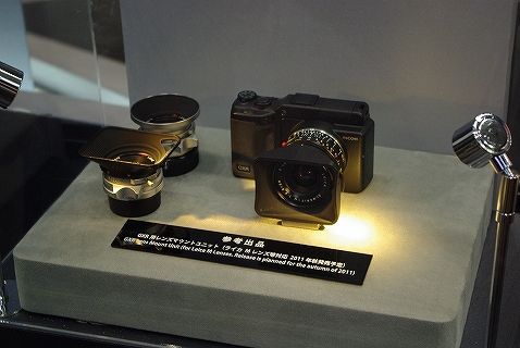 CPプラス25