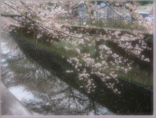 060120cb.jpg