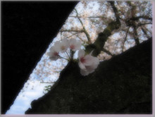 d40e0d07.jpg
