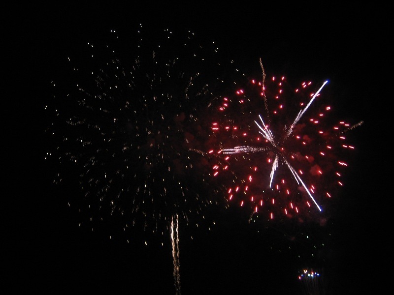 f4de7736.jpg