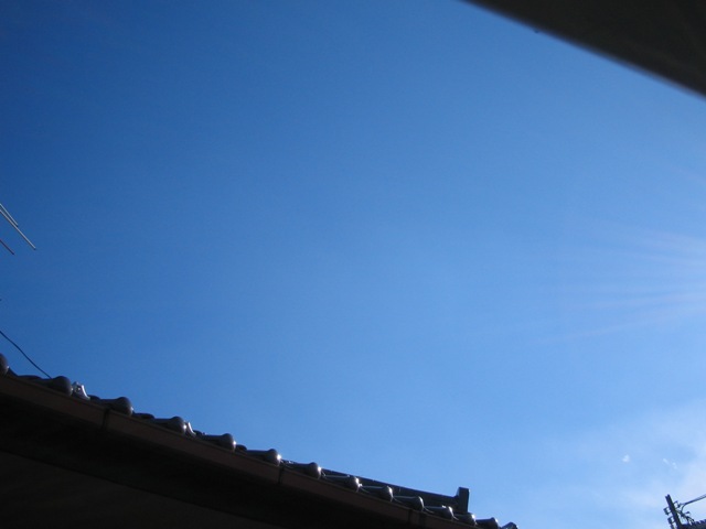 fd625733.jpg