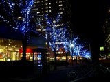 07883a23.jpg