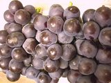 0fda5d6f.jpg