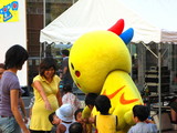 ハバタン1