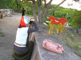 写真撮影2
