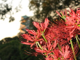 写真撮影3