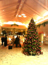 DVC00580