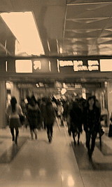 b24bc7a6.jpg