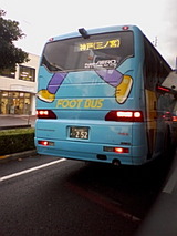 f330d43d.jpg