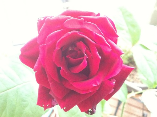 6860d478.jpg
