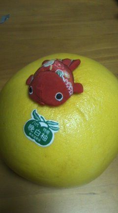 b21f41b9.jpg