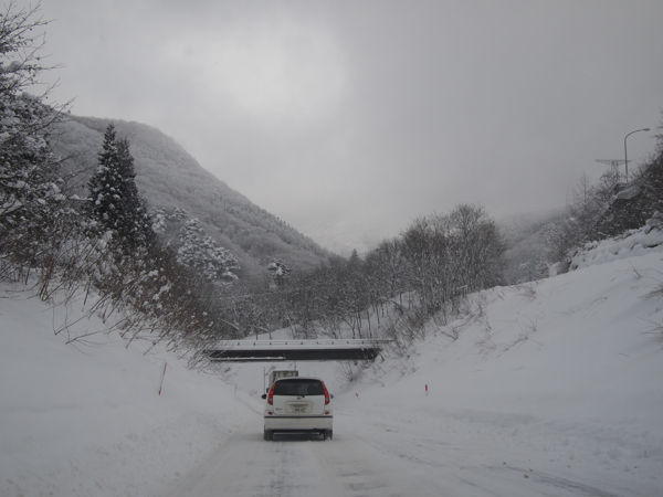 20120130_004