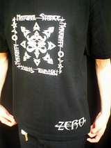 Z2