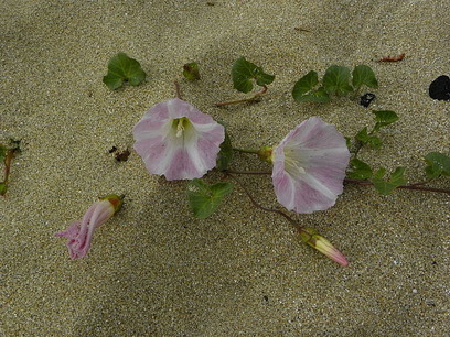 DSCN55740001