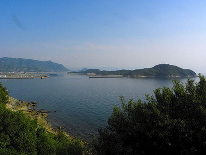 DSCN55410001