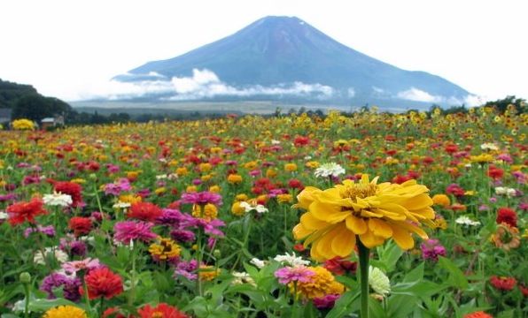 日本人の平和ボケレベルの高さは異常