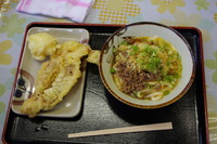 IMGP0061