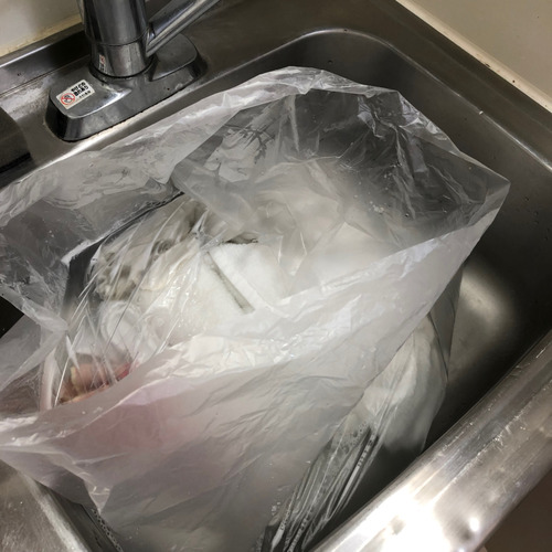 20190309_photo_3