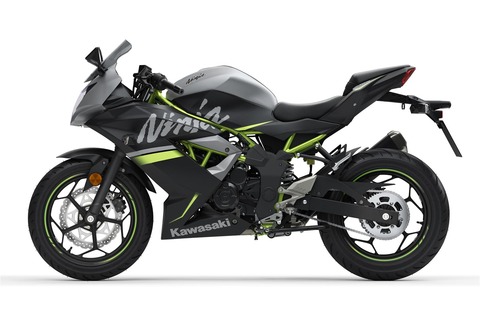 BK1_04_Kawasaki_Ninja_125_Data_Cuts_Left