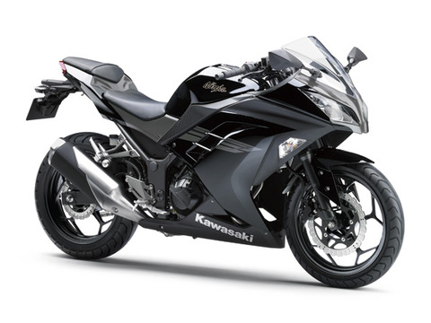 17_EX250L_BK1_RF