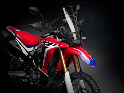 05-Honda_CRF250_Rally