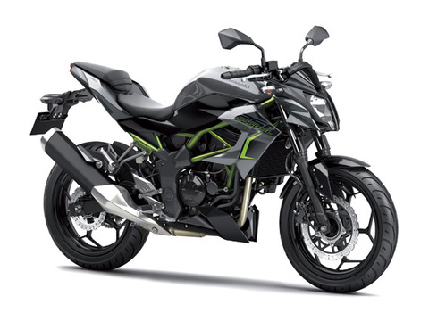 17_BR250F_GY1_RF