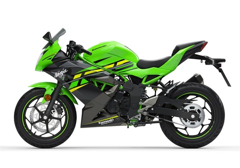 04_Kawasaki_Ninja_125_Data_Cuts_Left